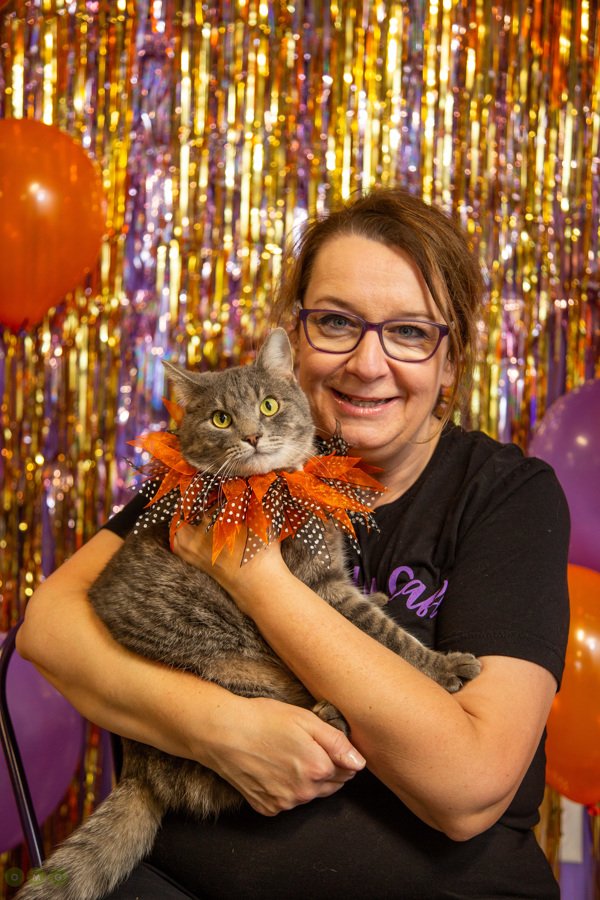 About — The Cat Lady Cafe